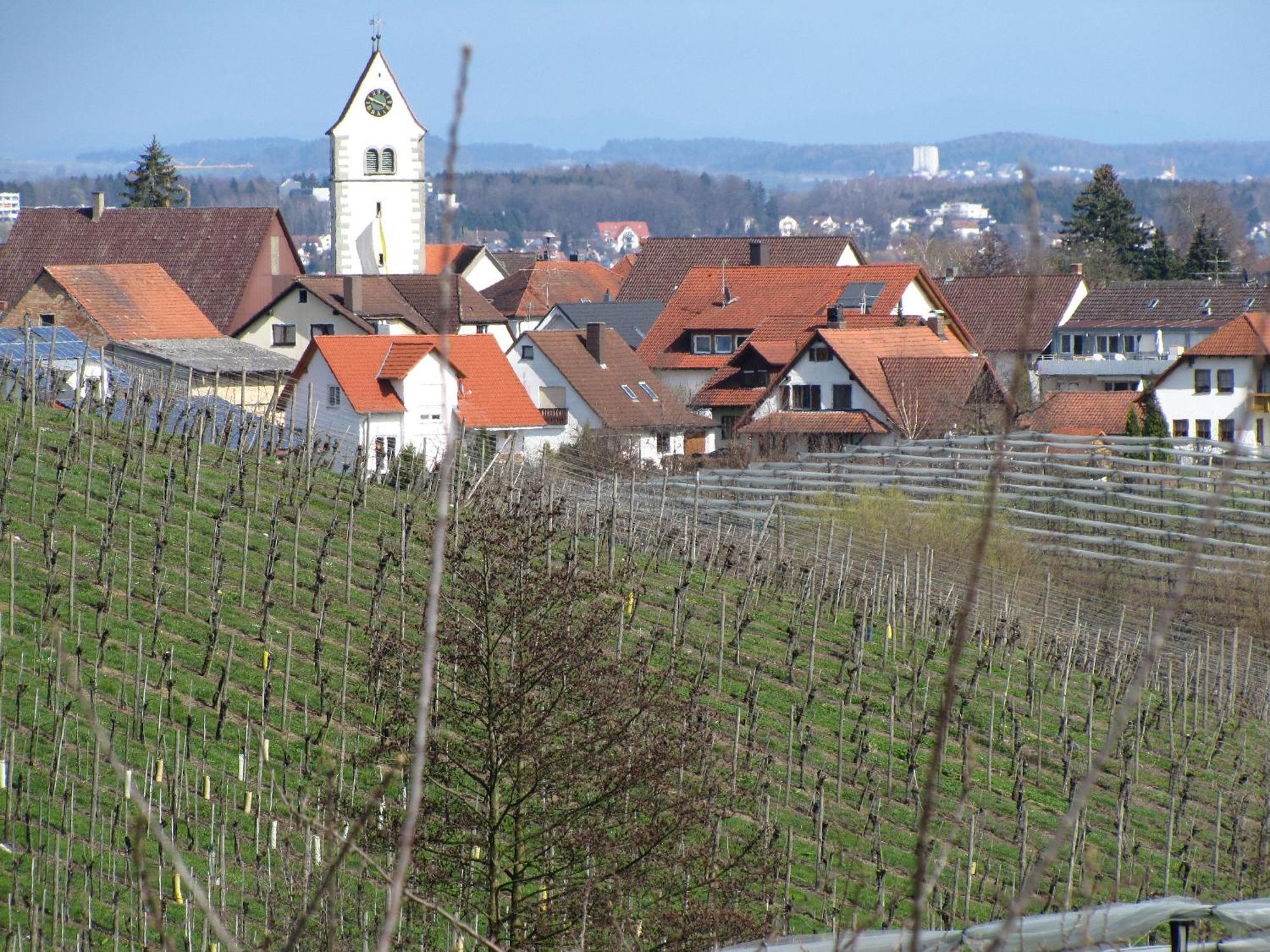 Obst- Ferienhof Ragg Immenstaad am Bodensee Zewnętrze zdjęcie