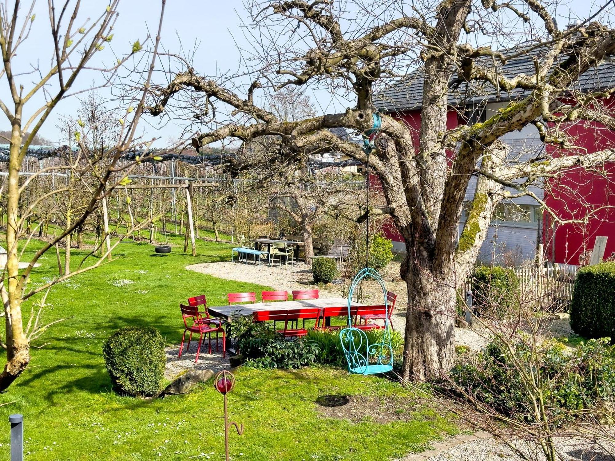 Obst- Ferienhof Ragg Immenstaad am Bodensee Zewnętrze zdjęcie