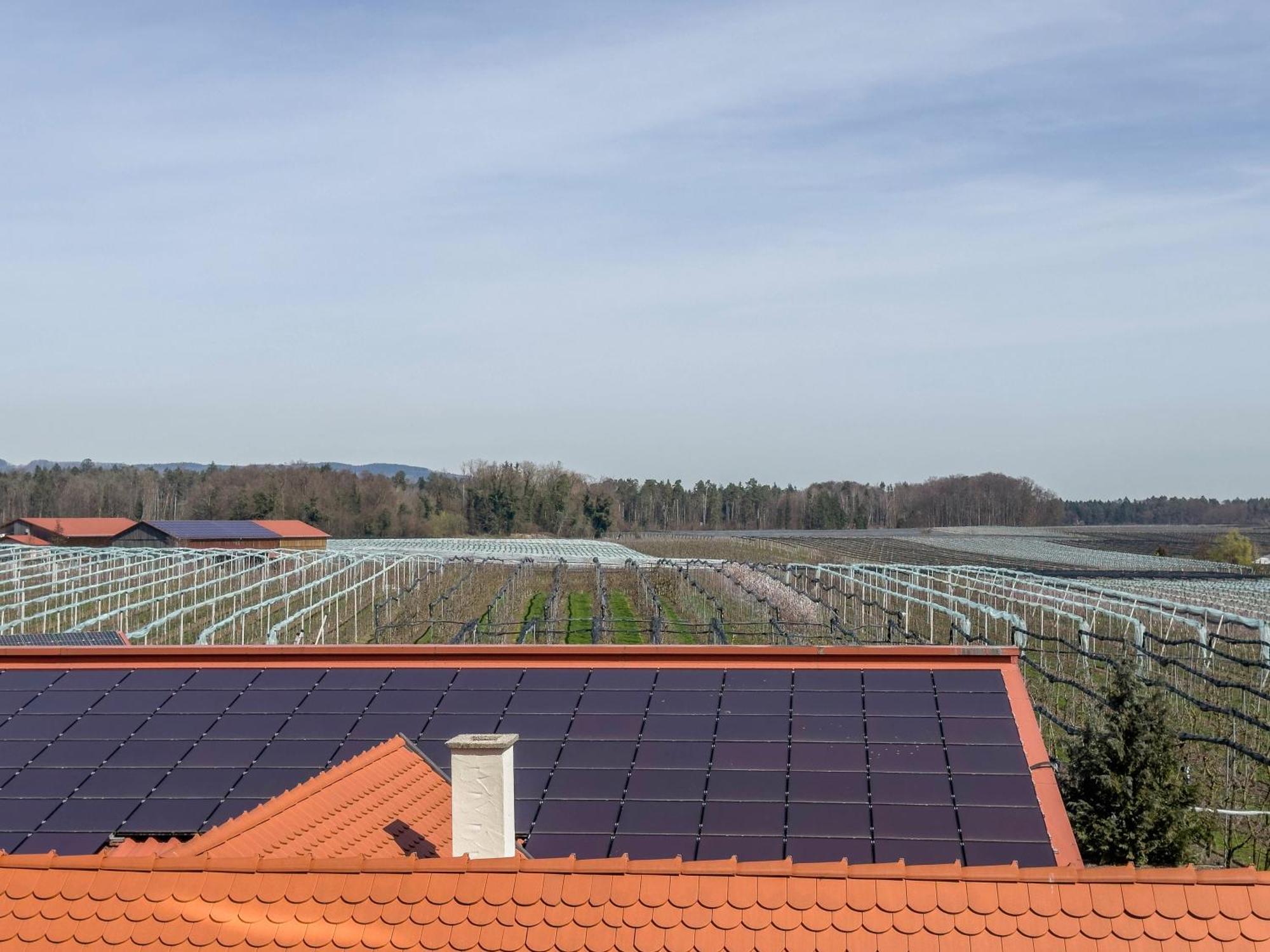 Obst- Ferienhof Ragg Immenstaad am Bodensee Zewnętrze zdjęcie