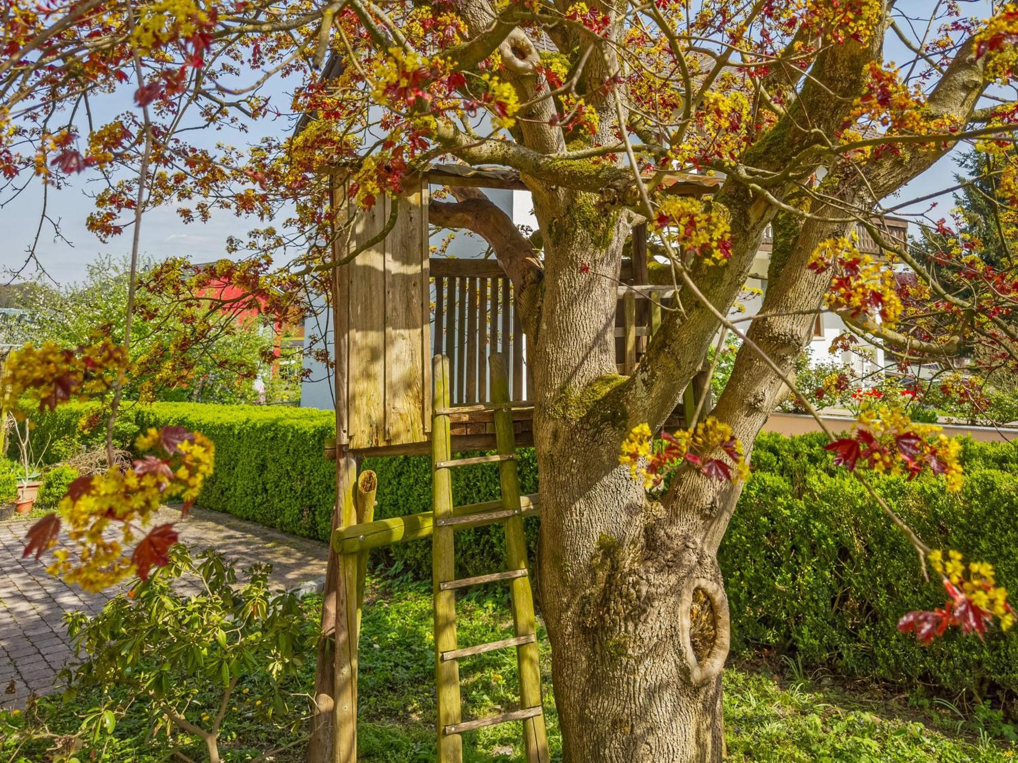 Obst- Ferienhof Ragg Immenstaad am Bodensee Zewnętrze zdjęcie