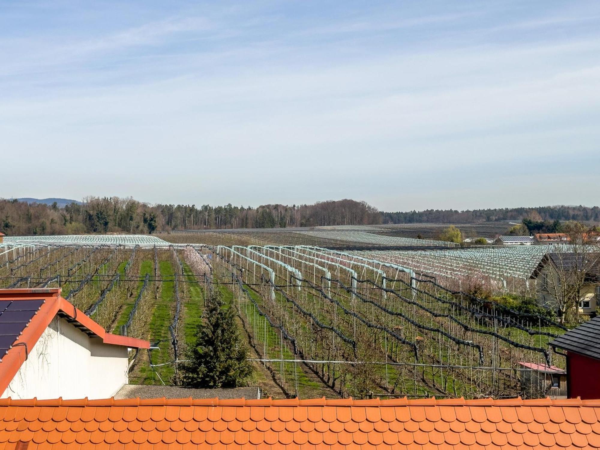Obst- Ferienhof Ragg Immenstaad am Bodensee Zewnętrze zdjęcie