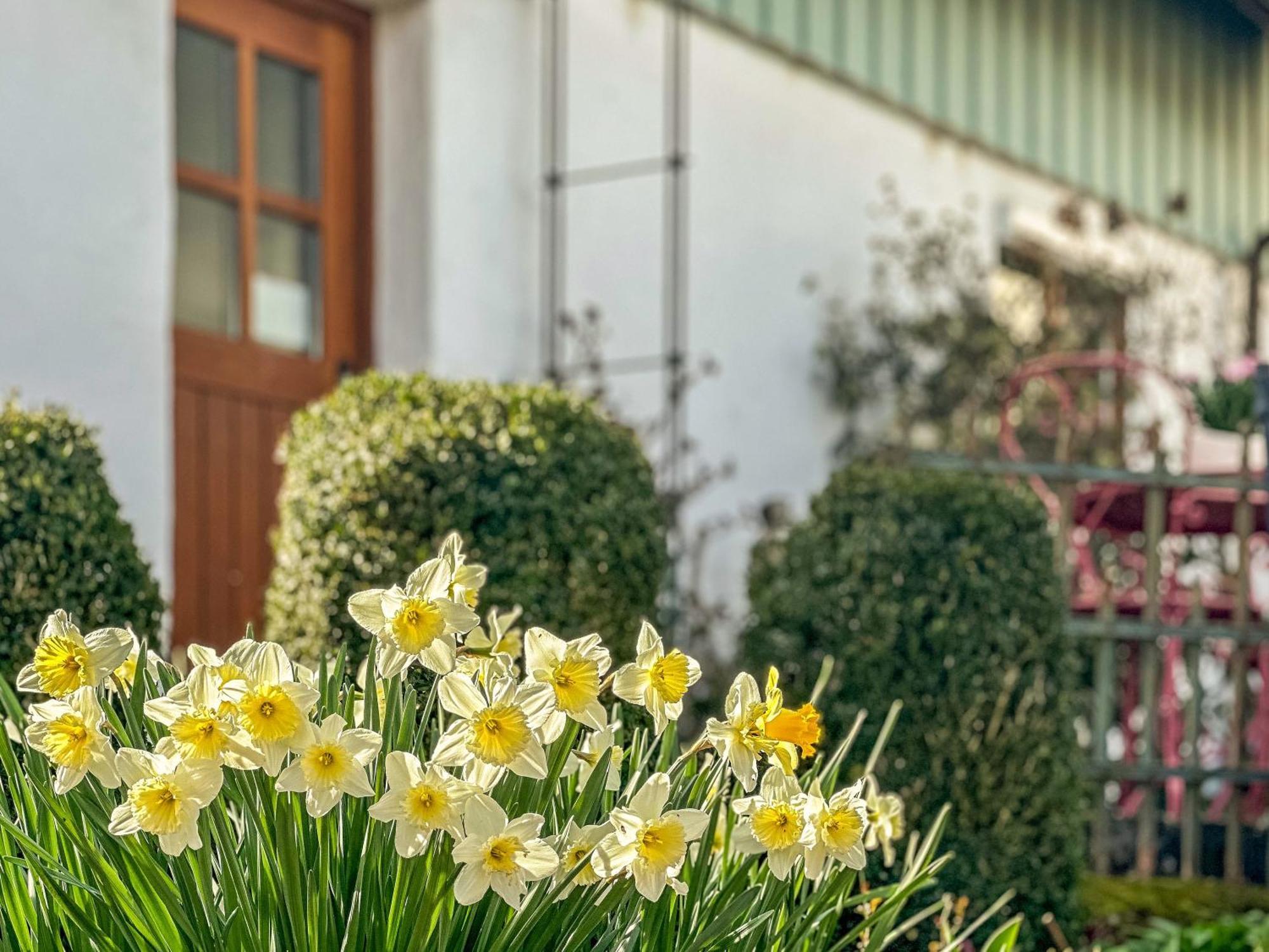 Obst- Ferienhof Ragg Immenstaad am Bodensee Zewnętrze zdjęcie