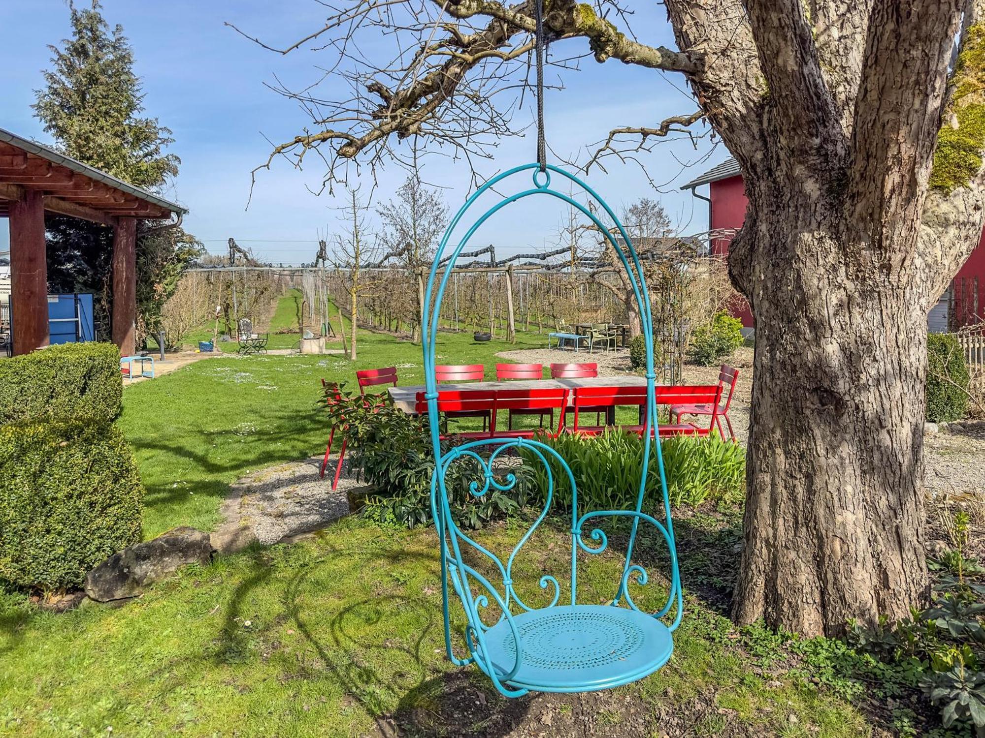 Obst- Ferienhof Ragg Immenstaad am Bodensee Zewnętrze zdjęcie